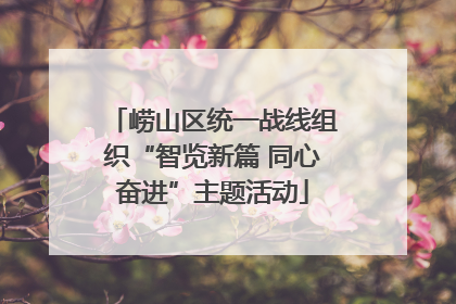 崂山区统一战线组织“智览新篇 同心奋进”主题活动