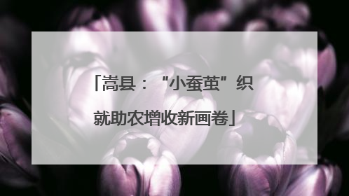 嵩县：“小蚕茧”织就助农增收新画卷