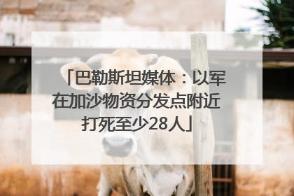 巴勒斯坦媒体：以军在加沙物资分发点附近打死至少28人