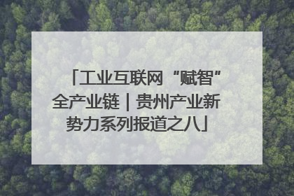 工业互联网“赋智”全产业链｜贵州产业新势力系列报道之八