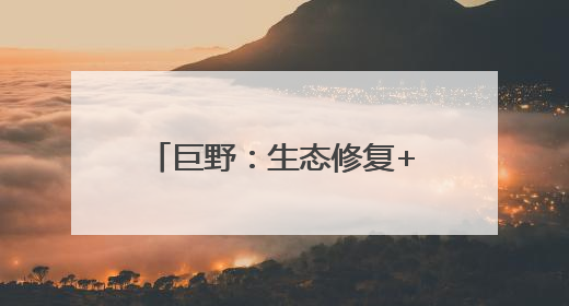 巨野：生态修复+产业开发 塌陷荒滩变身金山银山