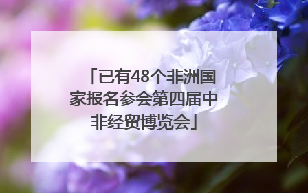 已有48个非洲国家报名参会第四届中非经贸博览会
