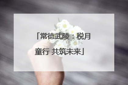 常德武陵：税月童行 共筑未来