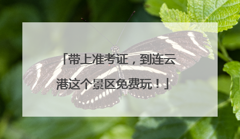 带上准考证，到连云港这个景区免费玩！