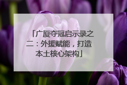 广厦夺冠启示录之二：外援赋能，打造本土核心架构