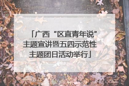 广西“区直青年说”主题宣讲暨五四示范性主题团日活动举行