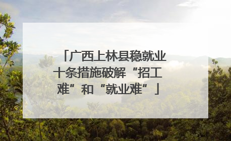 广西上林县稳就业十条措施破解“招工难”和“就业难”