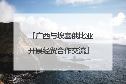广西与埃塞俄比亚开展经贸合作交流