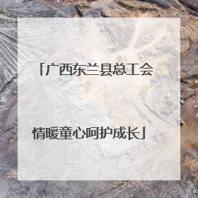 广西东兰县总工会情暖童心呵护成长