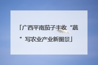 广西平南茄子丰收“蔬”写农业产业新图景