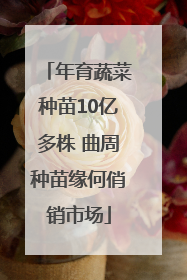 年育蔬菜种苗10亿多株 曲周种苗缘何俏销市场