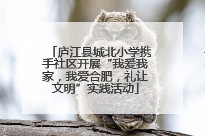 庐江县城北小学携手社区开展“我爱我家，我爱合肥，礼让文明”实践活动