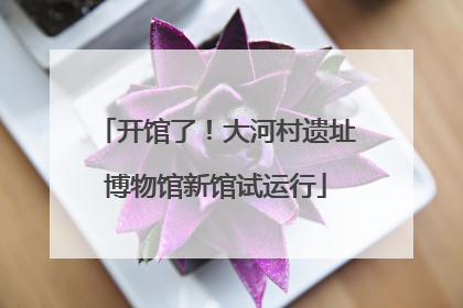 开馆了！大河村遗址博物馆新馆试运行