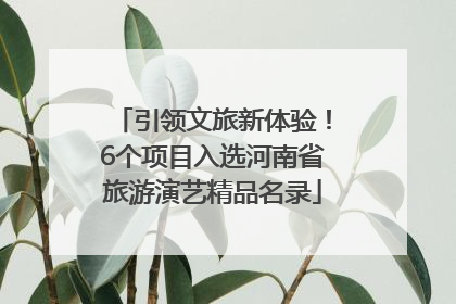 引领文旅新体验！6个项目入选河南省旅游演艺精品名录