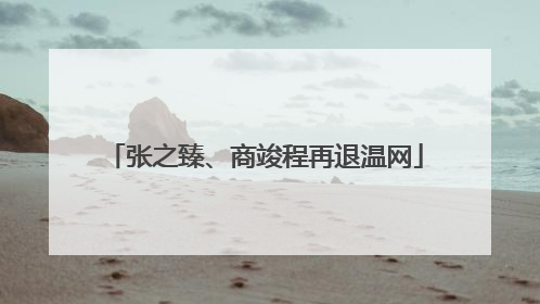 张之臻、商竣程再退温网