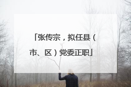 张传宗，拟任县（市、区）党委正职