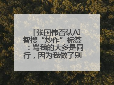张国伟否认AI智搜“炒作”标签：骂我的大多是同行，因为我做了别人做不了的事