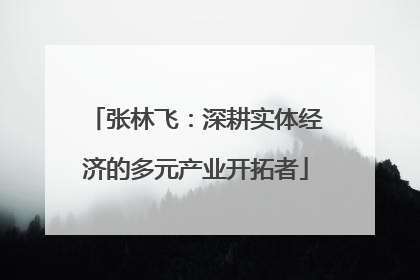 张林飞：深耕实体经济的多元产业开拓者