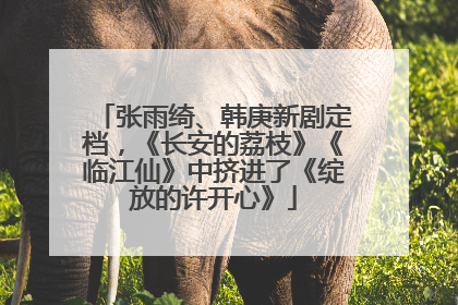 张雨绮、韩庚新剧定档，《长安的荔枝》《临江仙》中挤进了《绽放的许开心》