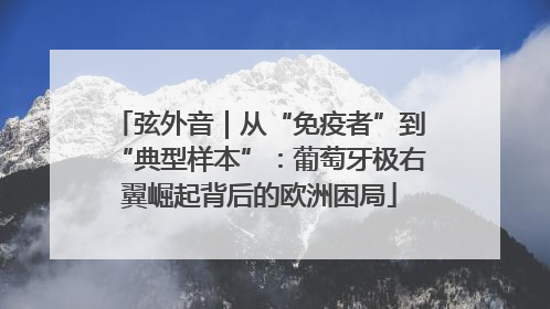 弦外音｜从“免疫者”到“典型样本”：葡萄牙极右翼崛起背后的欧洲困局