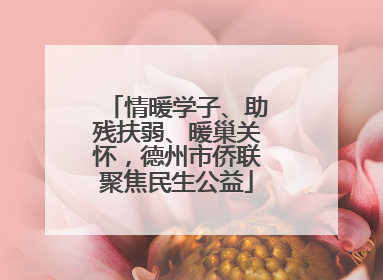 情暖学子、助残扶弱、暖巢关怀，德州市侨联聚焦民生公益