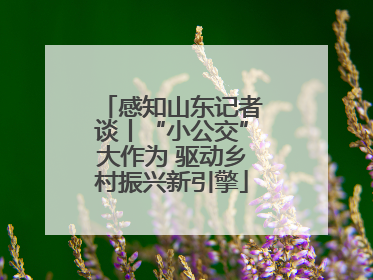 感知山东记者谈丨“小公交”大作为 驱动乡村振兴新引擎