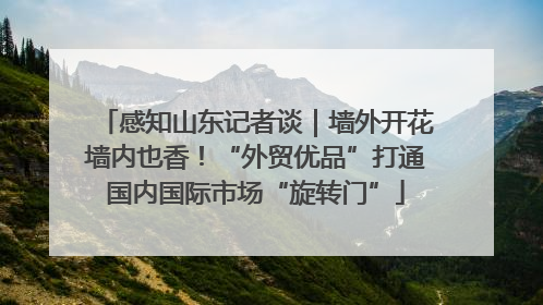 感知山东记者谈｜墙外开花墙内也香！“外贸优品”打通国内国际市场“旋转门”