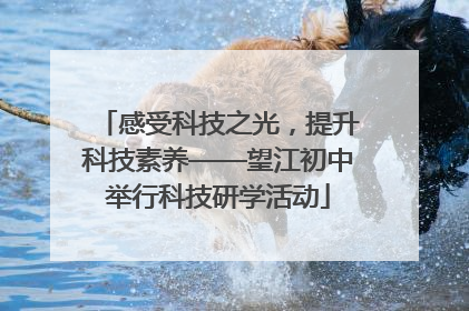 感受科技之光，提升科技素养——望江初中举行科技研学活动
