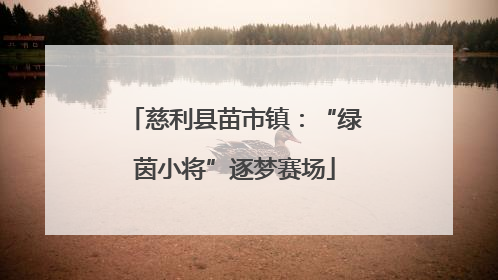 慈利县苗市镇：“绿茵小将”逐梦赛场