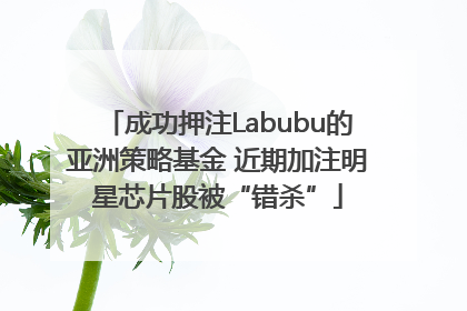 成功押注Labubu的亚洲策略基金 近期加注明星芯片股被“错杀”