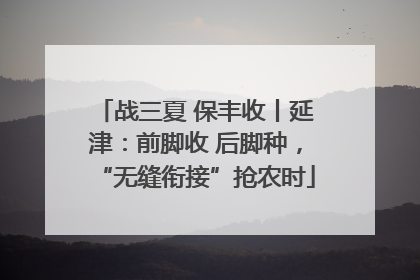 战三夏 保丰收丨延津：前脚收 后脚种，“无缝衔接”抢农时