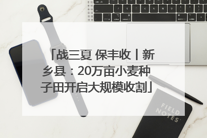 战三夏 保丰收丨新乡县：20万亩小麦种子田开启大规模收割