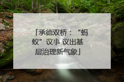 承德双桥：“蚂蚁”议事 议出基层治理新气象