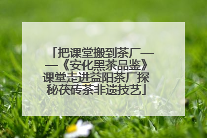把课堂搬到茶厂——《安化黑茶品鉴》课堂走进益阳茶厂探秘茯砖茶非遗技艺
