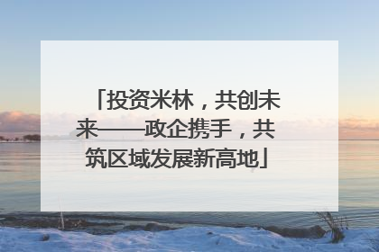 投资米林，共创未来——政企携手，共筑区域发展新高地