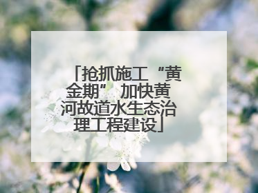 抢抓施工“黄金期” 加快黄河故道水生态治理工程建设