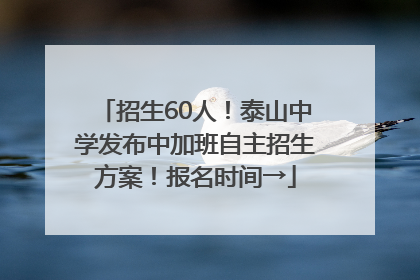 招生60人！泰山中学发布中加班自主招生方案！报名时间→