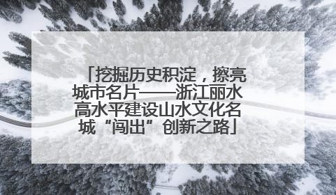 挖掘历史积淀，擦亮城市名片——浙江丽水高水平建设山水文化名城“闯出”创新之路