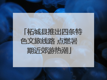 柘城县推出四条特色文旅线路 点燃暑期近郊游热潮
