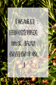 柘城县：田间管理送地头 抗旱保苗保丰收
