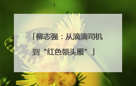 柳志强：从滴滴司机到“红色领头雁”
