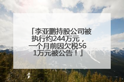 李亚鹏持股公司被执行约244万元，一个月前因欠税561万元被公告！