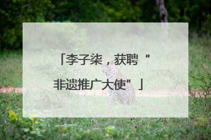 李子柒，获聘“非遗推广大使”
