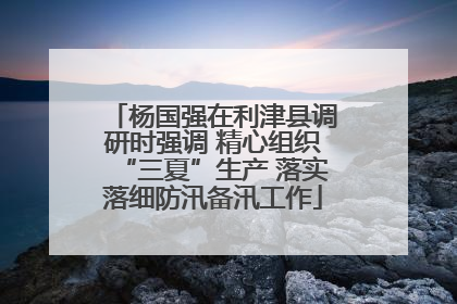 杨国强在利津县调研时强调 精心组织“三夏”生产 落实落细防汛备汛工作
