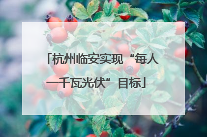 杭州临安实现“每人一千瓦光伏”目标