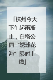 杭州今天下午起雨渐止，白塔公园“绣球花海”限时上线