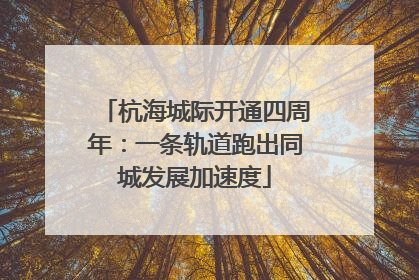 杭海城际开通四周年：一条轨道跑出同城发展加速度