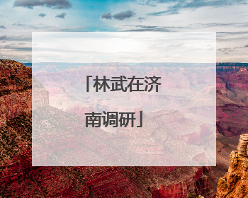 林武在济南调研