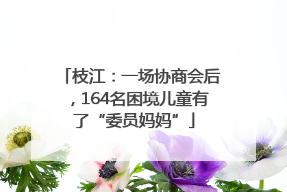 枝江：一场协商会后，164名困境儿童有了“委员妈妈”
