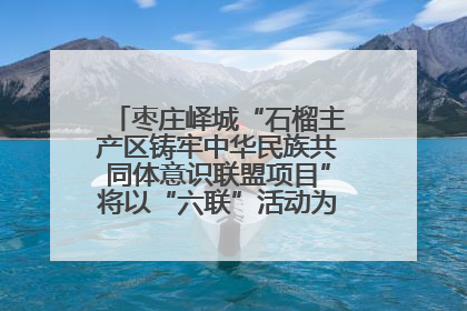 枣庄峄城“石榴主产区铸牢中华民族共同体意识联盟项目”将以“六联”活动为抓手深化品牌建设